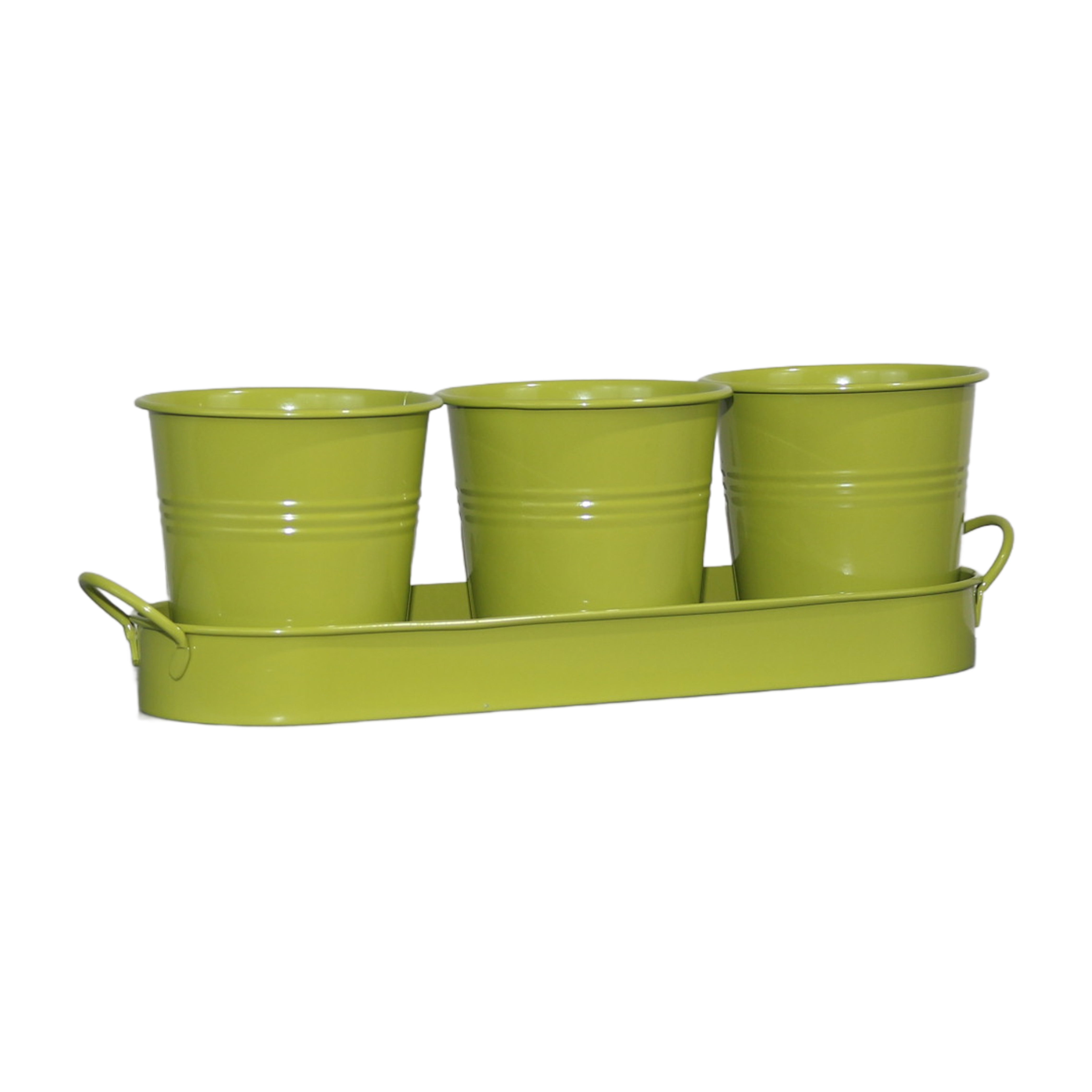 Set of 3 Green Metal Garden Planters with Tray