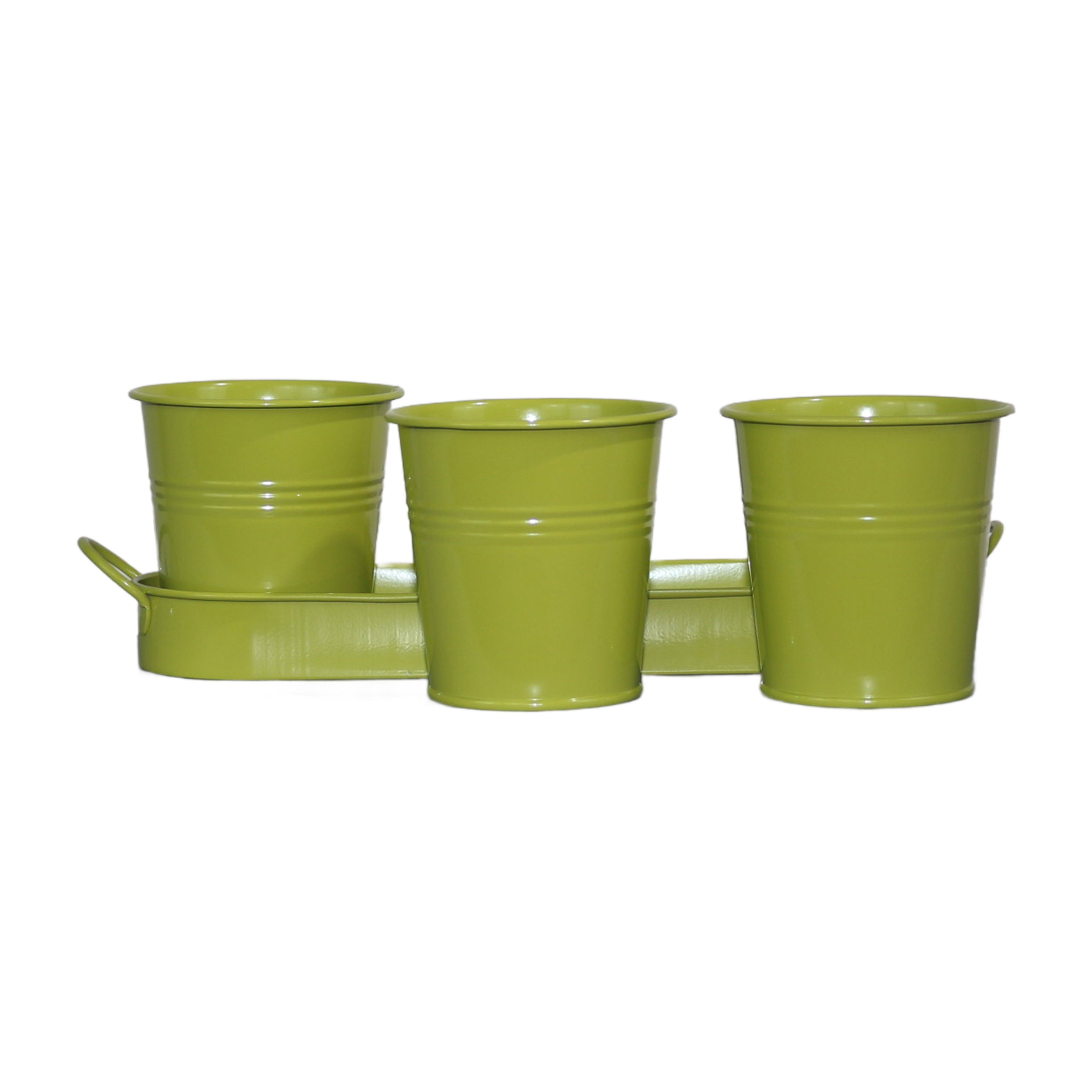 Set of 3 Green Metal Garden Planters with Tray