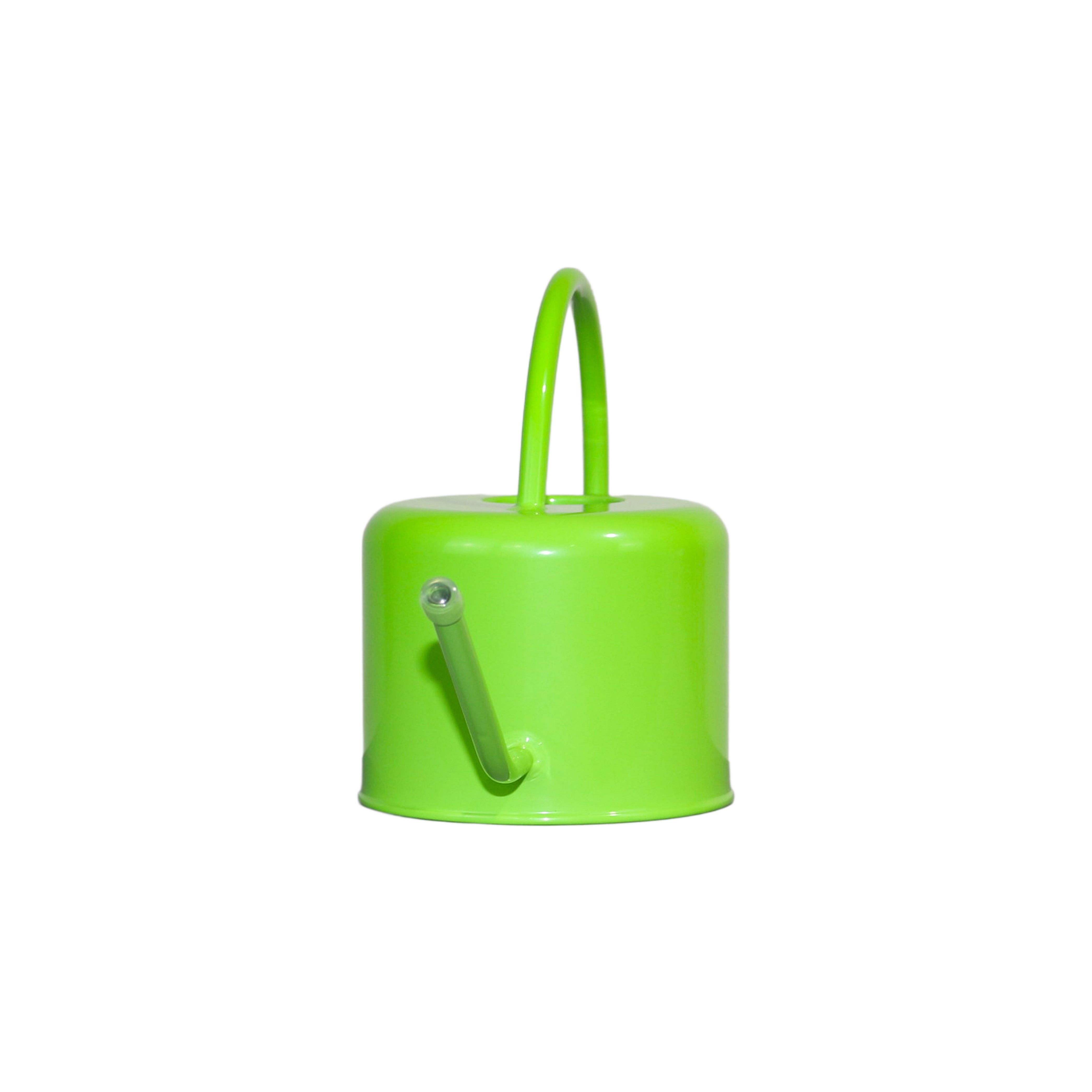 40 oz Green Metal Watering Can with Long Spout