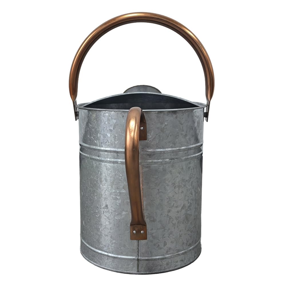 Plexon Large Metal Watering Can Outdoor 2 Gallon, Plant Flower Gardening Garden Watering Can Pot, Bronze Galvanized Steel Handles and Removable Spray Spout, Silver