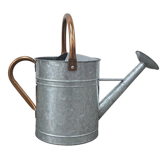 plexon-large-metal-watering-can-outdoor-2-gallon-plant-flower-gardening-garden-watering-can-pot-bronze-galvanized-steel-handles-and-removable-spray-spout-silver