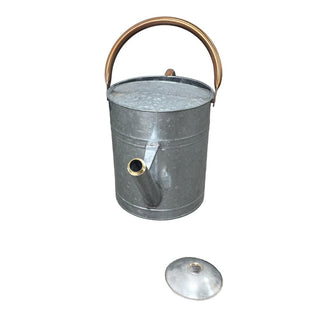 Plexon Large Metal Watering Can Outdoor 2 Gallon, Plant Flower Gardening Garden Watering Can Pot, Bronze Galvanized Steel Handles and Removable Spray Spout, Silver
