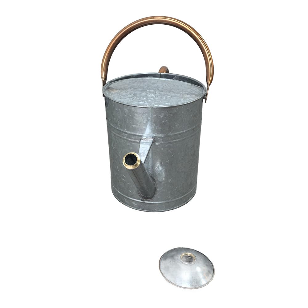 Plexon Large Metal Watering Can Outdoor 2 Gallon, Plant Flower Gardening Garden Watering Can Pot, Bronze Galvanized Steel Handles and Removable Spray Spout, Silver