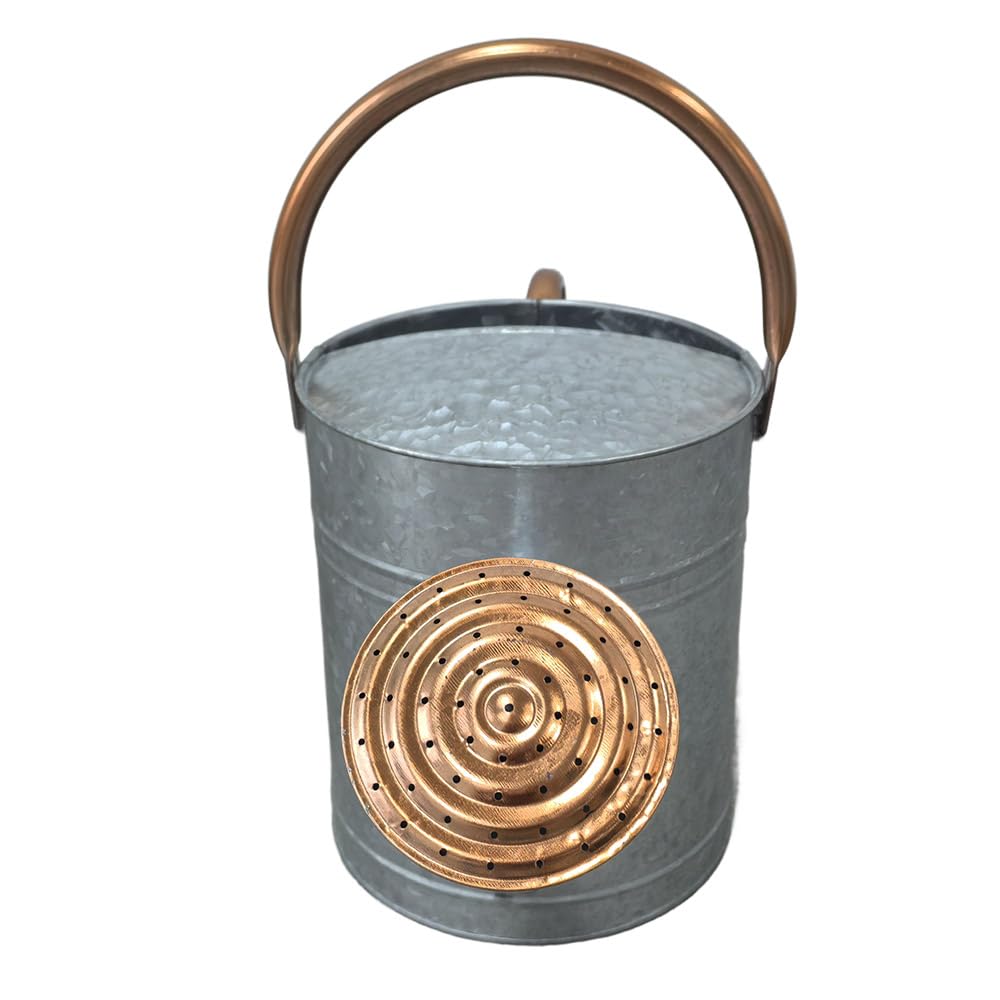 Plexon Large Metal Watering Can Outdoor 2 Gallon, Plant Flower Gardening Garden Watering Can Pot, Bronze Galvanized Steel Handles and Removable Spray Spout, Silver
