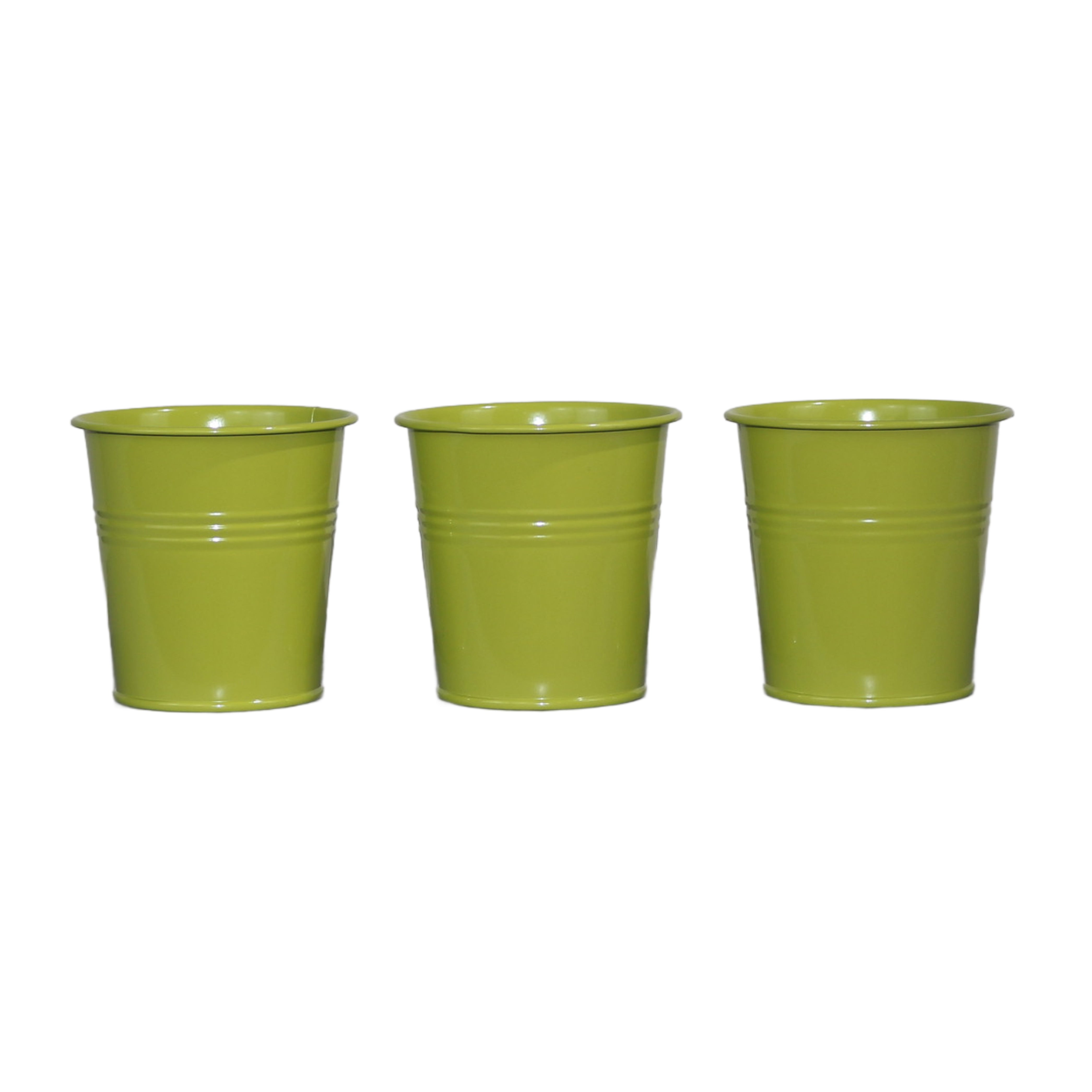 Set of 3 Green Metal Garden Planters with Tray