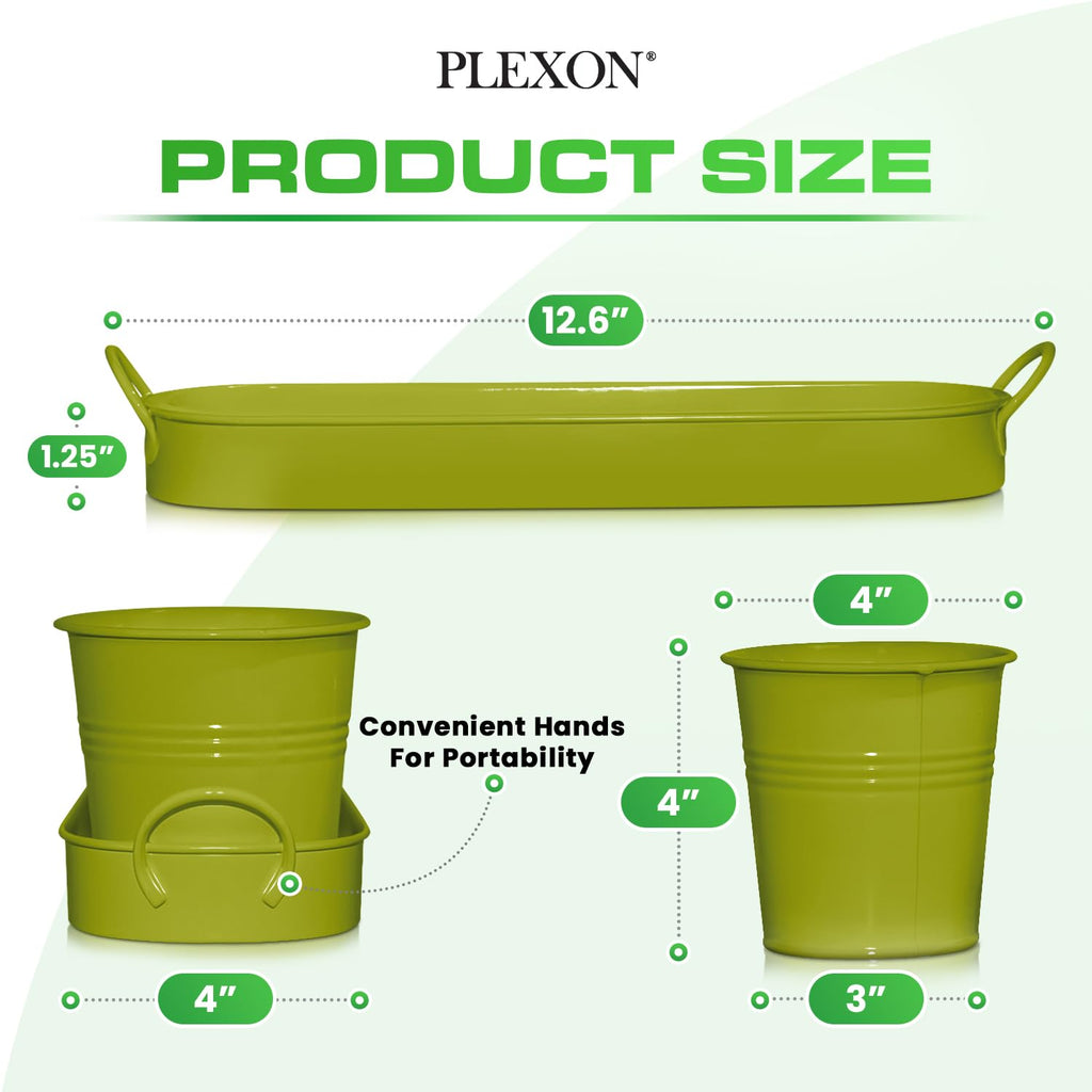 Set of 3 Green Metal Garden Planters with Tray