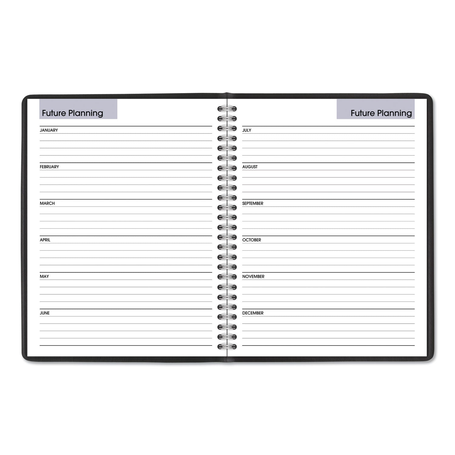 DayMinder Monthly Planner with Notes Column, Ruled Blocks, 8.75 x 7, Black Cover, 12-Month (Jan to Dec): 2024 - 