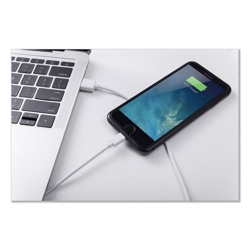 usb-apple-lightning-cable-10-ft-white_ivr30022 - 2