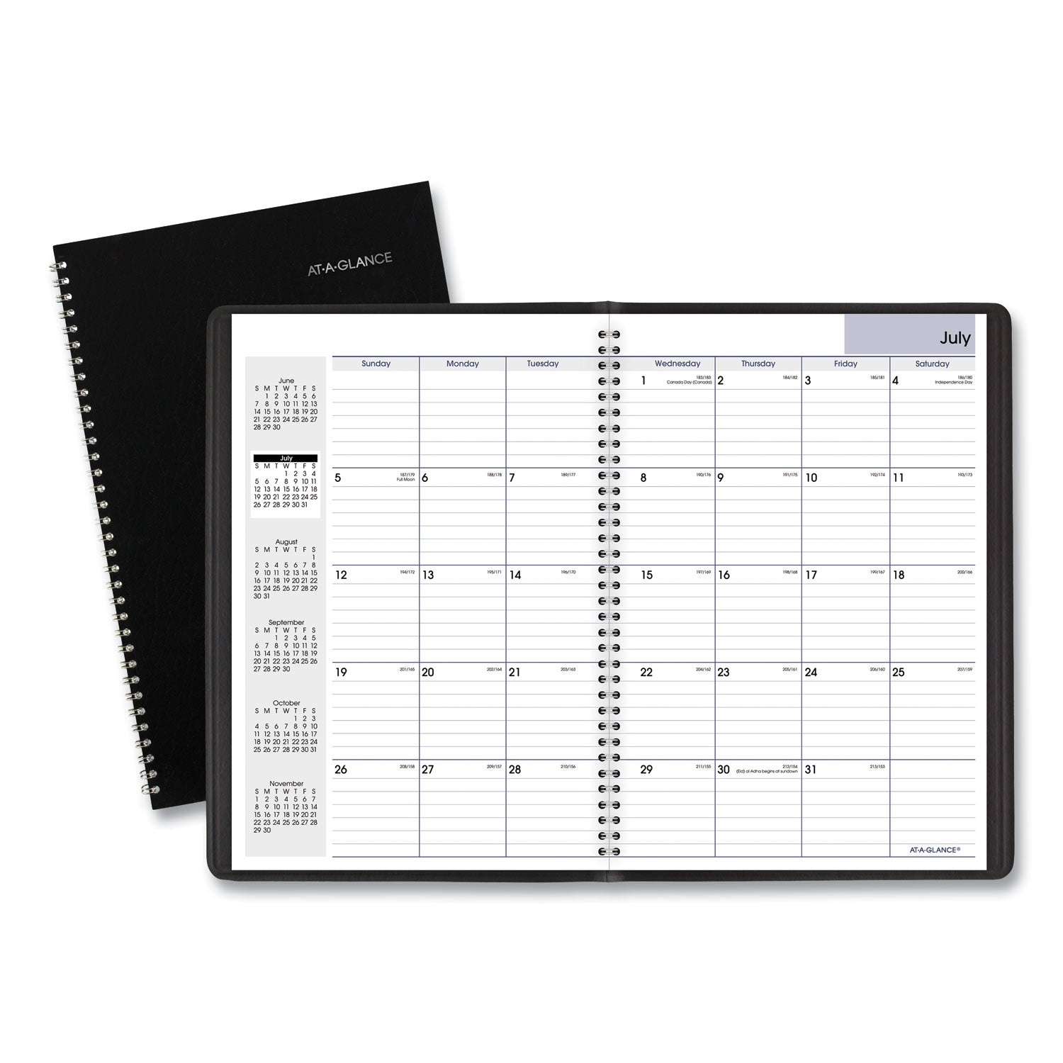 DayMinder Monthly Planner, Academic Year, Ruled Blocks, 12 x 8, Black Cover, 14-Month (July to Aug): 2023 to 2024 - 