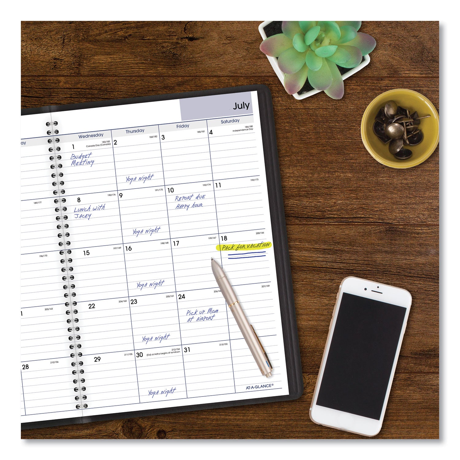 DayMinder Monthly Planner, Academic Year, Ruled Blocks, 12 x 8, Black Cover, 14-Month (July to Aug): 2023 to 2024