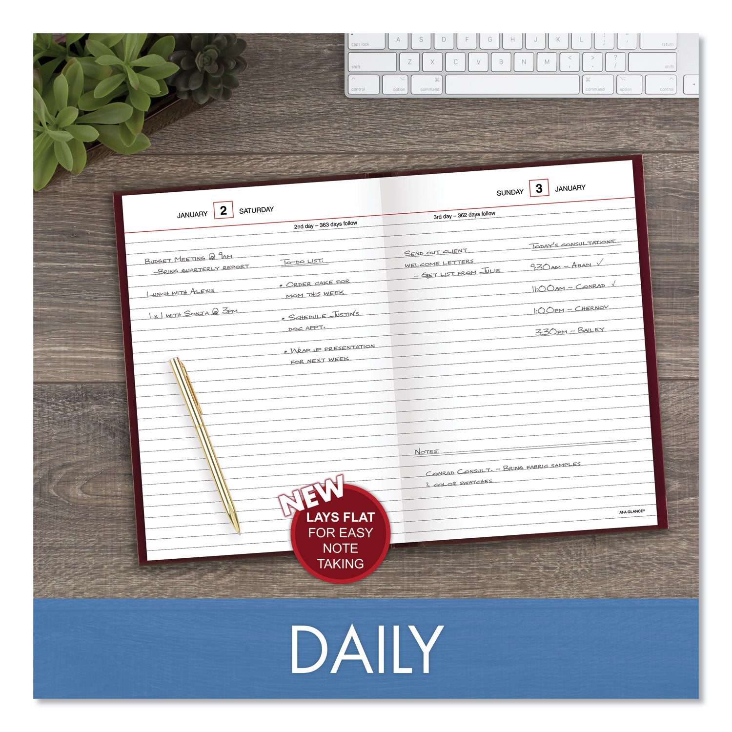 Standard Diary Daily Reminder Book, 2024 Edition, Medium/College Rule, Red Cover, (201) 8.25 x 5.75 Sheets - 