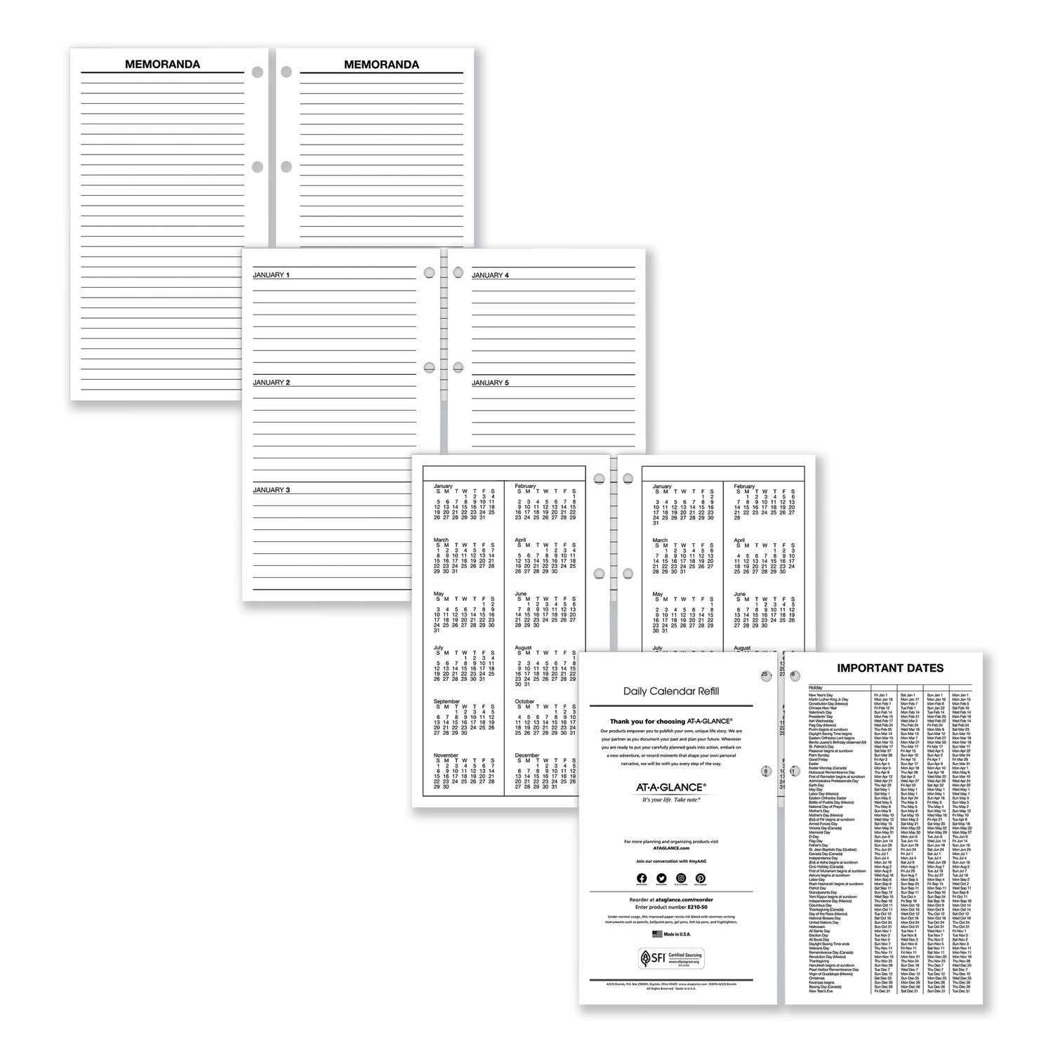 Large Desk Calendar Refill, 4.5 x 8, White Sheets, 12-Month (Jan to Dec): 2024 - 