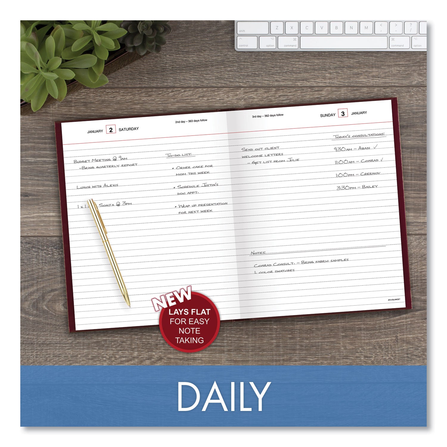 Standard Diary Daily Diary, 2024 Edition, Medium/College Rule, Red Cover, (200) 9.5 x 7.5 Sheets - 