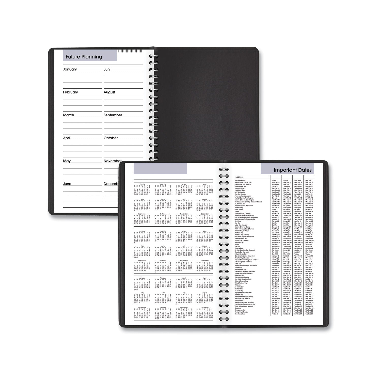 DayMinder Daily Appointment Book, 8.5 x 5.5, Black Cover, 12-Month (Jan to Dec): 2024 - 