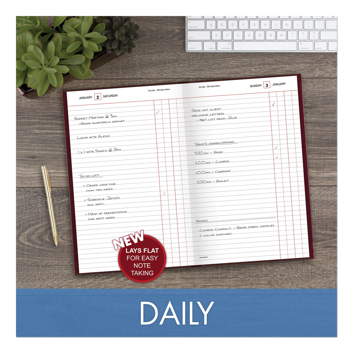 Standard Diary Daily Journal, 2024 Edition, Wide/Legal Rule, Red Cover, (210) 12 x 7.75 Sheets - 