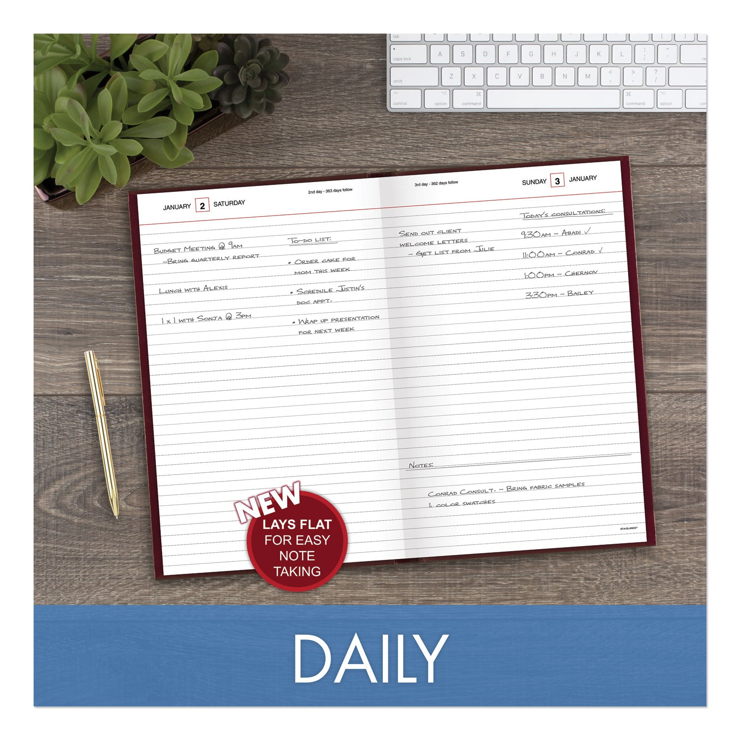 Standard Diary Daily Diary, 2024 Edition, Wide/Legal Rule, Red Cover, (200) 12 x 7.75 Sheets - 