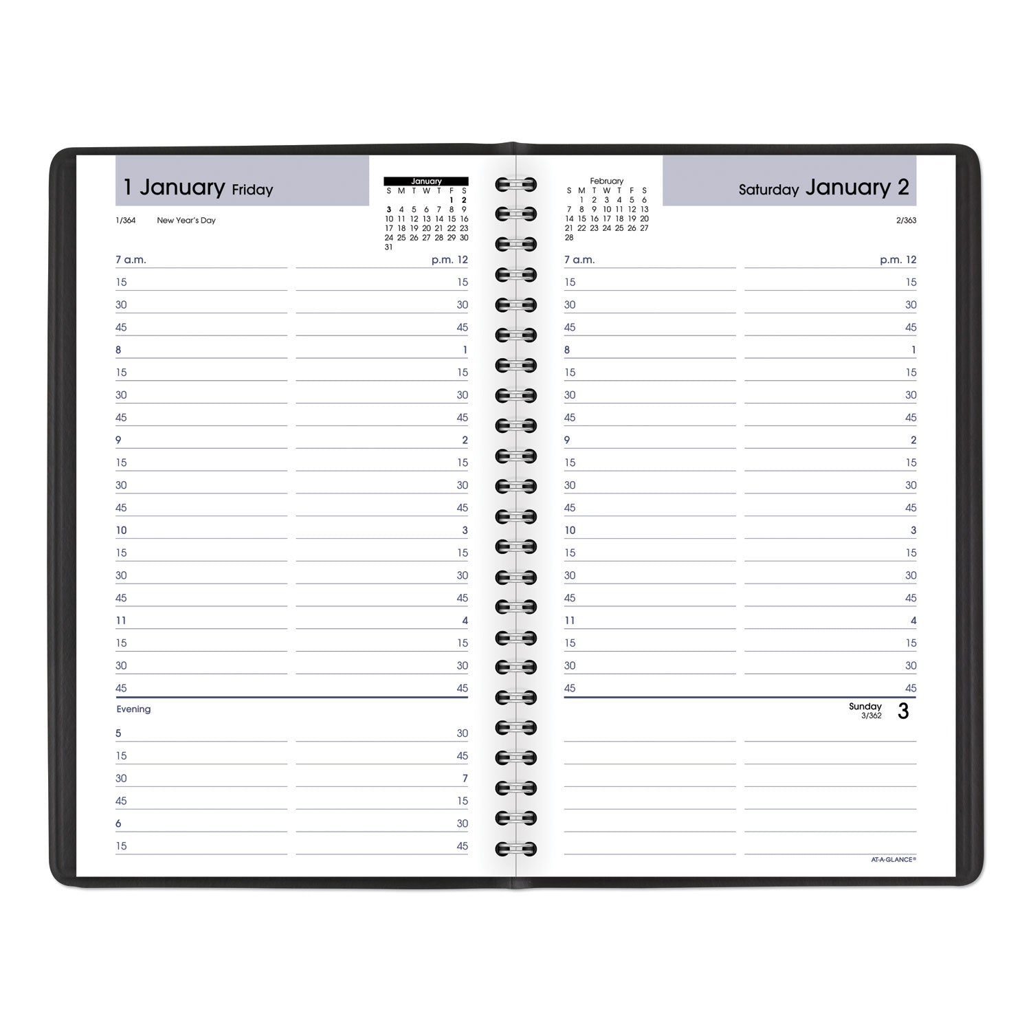 DayMinder Daily Appointment Book, 8.5 x 5.5, Black Cover, 12-Month (Jan to Dec): 2024 - 