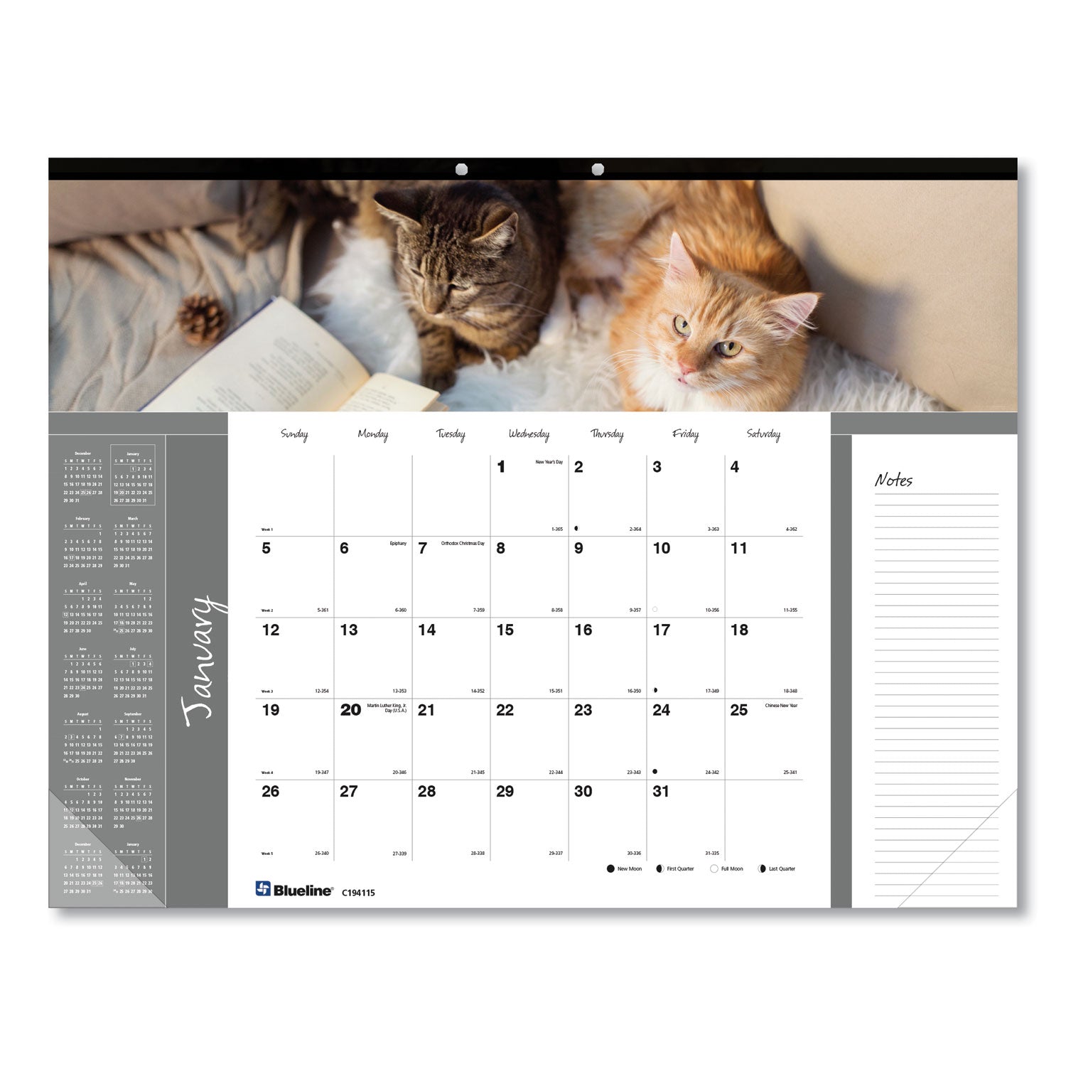 Pets Collection Monthly Desk Pad, Furry Kittens Photography, 22 x 17, White Sheets, Black Binding, 12-Month (Jan-Dec): 2024 - 2