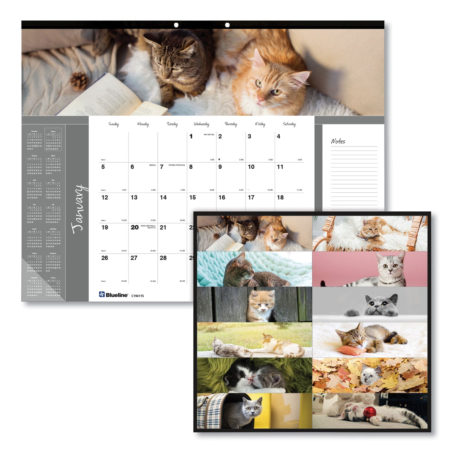 Pets Collection Monthly Desk Pad, Furry Kittens Photography, 22 x 17, White Sheets, Black Binding, 12-Month (Jan-Dec): 2024 - 1