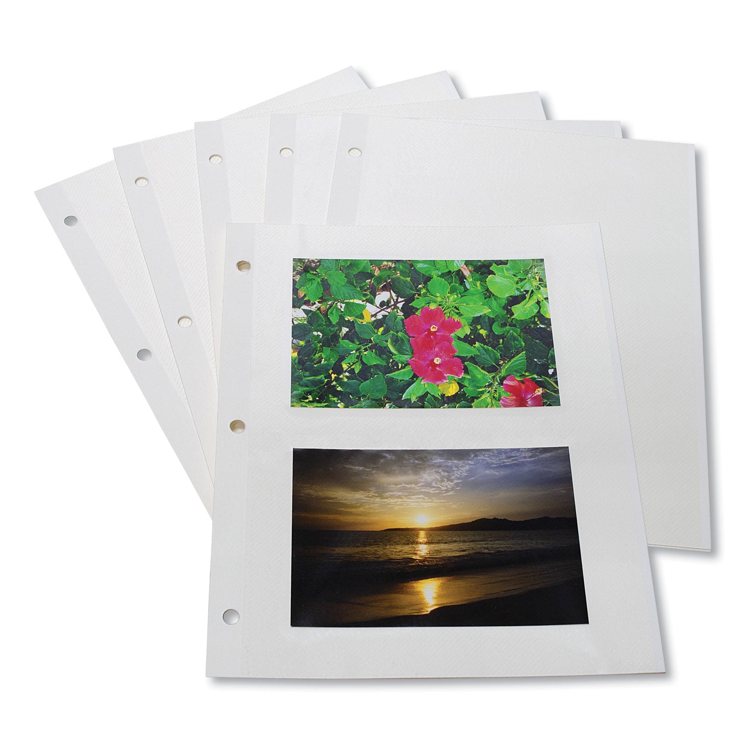 Redi-Mount Photo-Mounting Sheets, 11 x 9, 50/Box - 