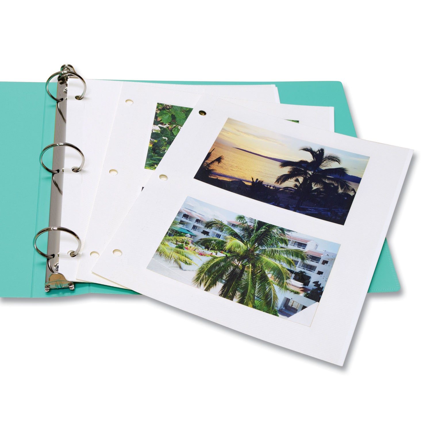 Redi-Mount Photo-Mounting Sheets, 11 x 9, 50/Box - 