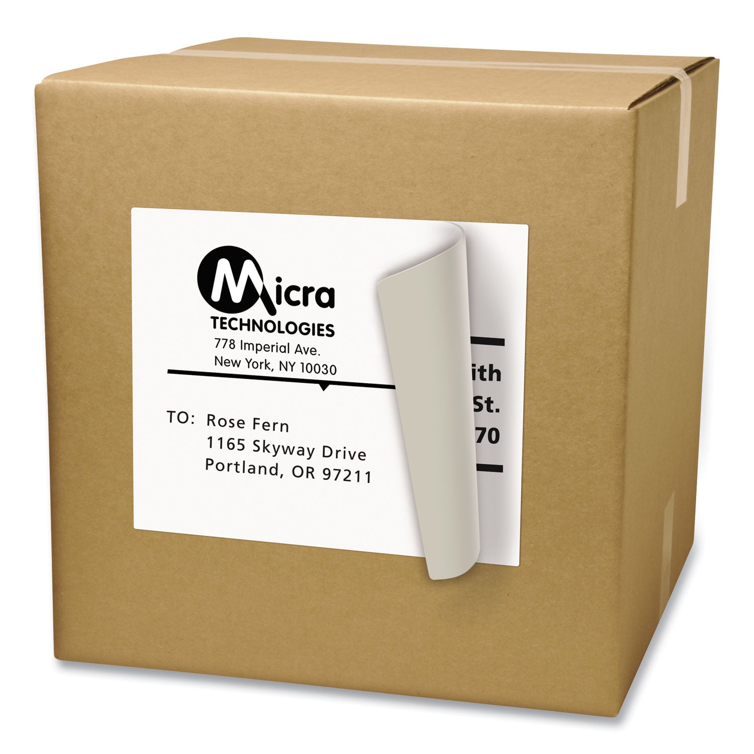 Shipping Labels with TrueBlock Technology, Laser Printers, 8.5 x 11, White, 100/Box