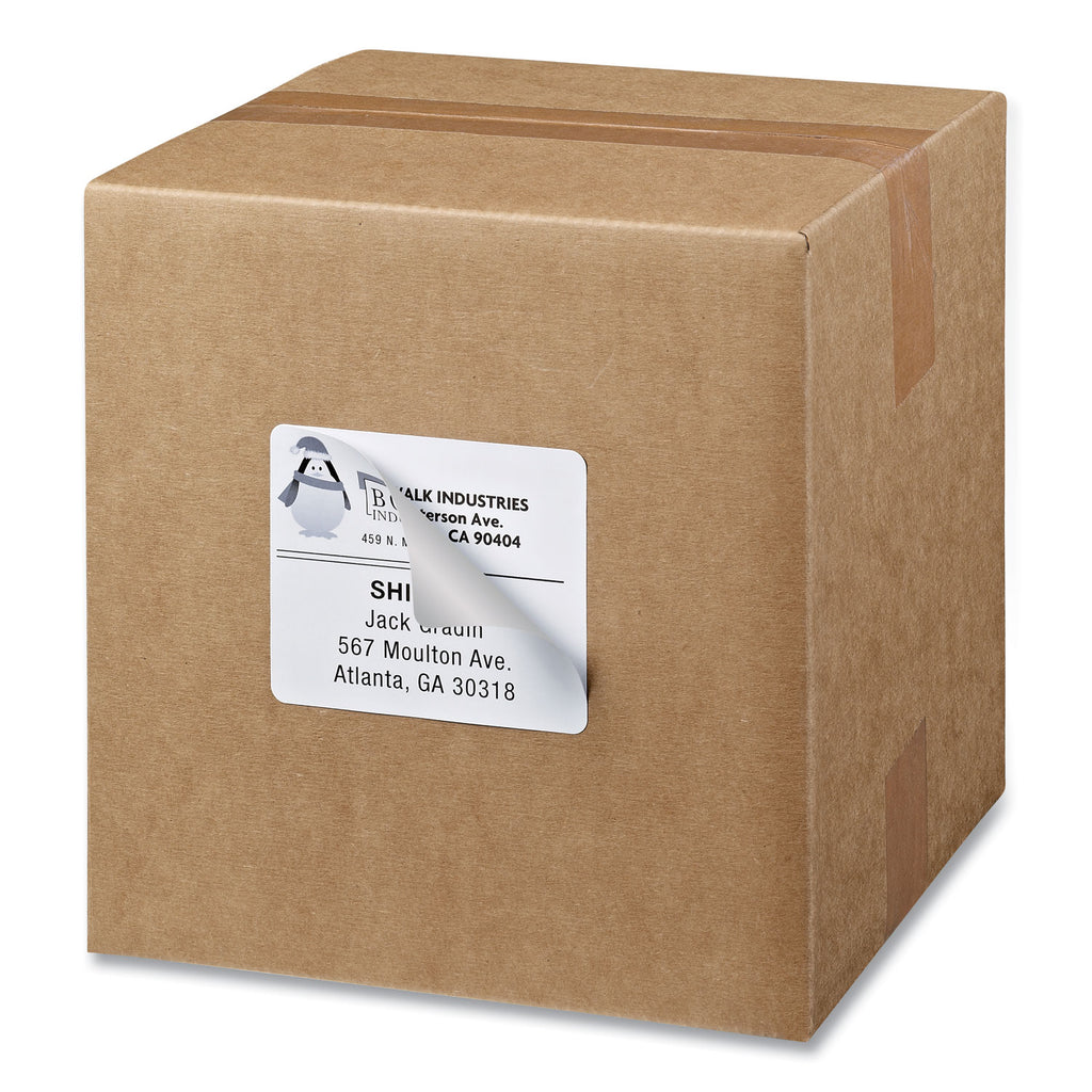 Shipping Labels w/ TrueBlock Technology, Inkjet Printers, 3.33 x 4, White, 6/Sheet, 100 Sheets/Box