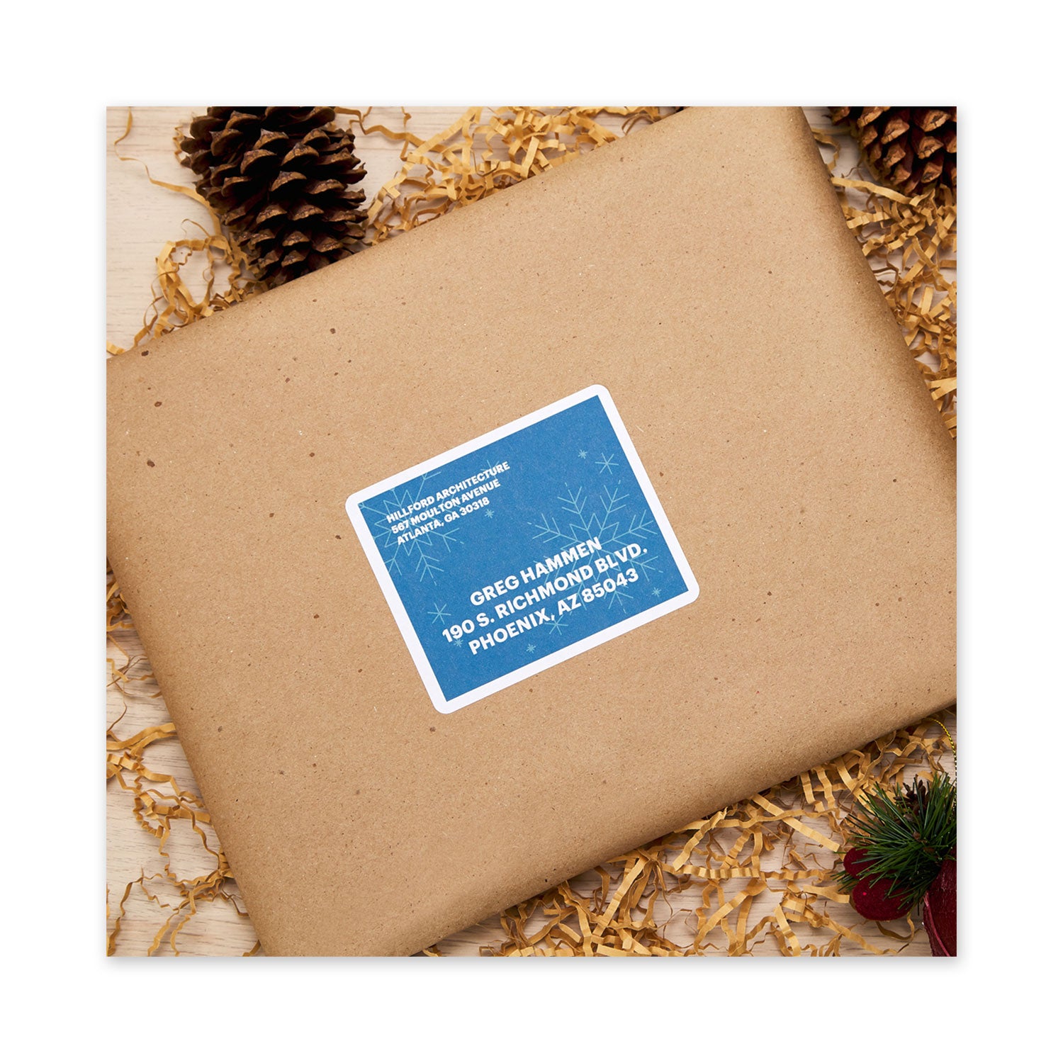 Waterproof Shipping Labels with TrueBlock and Sure Feed, Laser Printers, 3.33 x 4, White, 6/Sheet, 50 Sheets/Pack