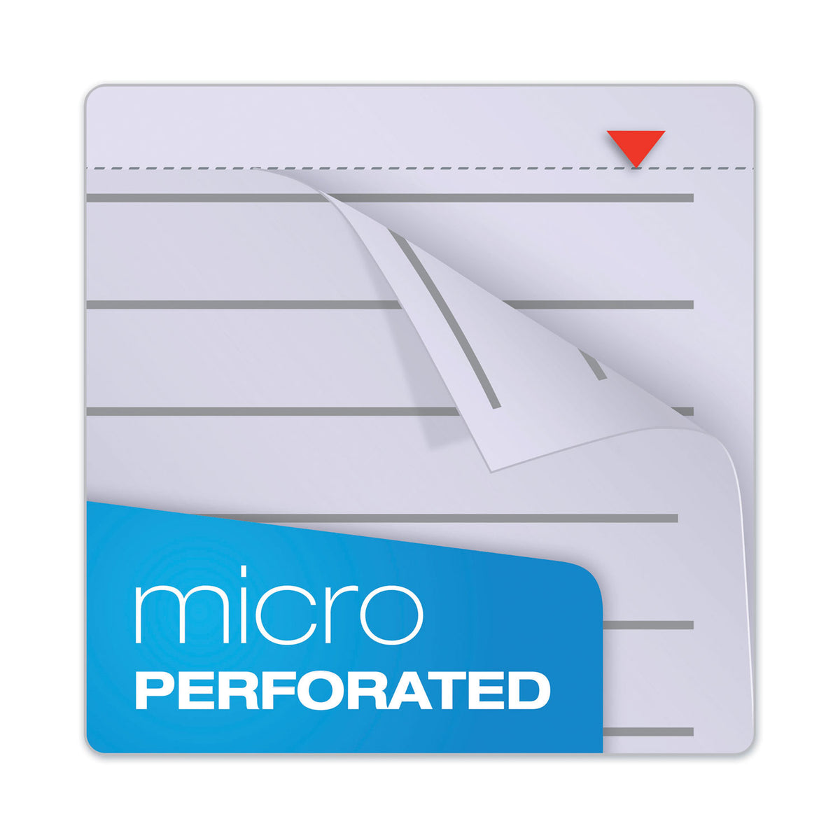 Prism Steno Pads, Gregg Rule, Orchid Cover, 80 Orchid 6 x 9 Sheets, 4/Pack