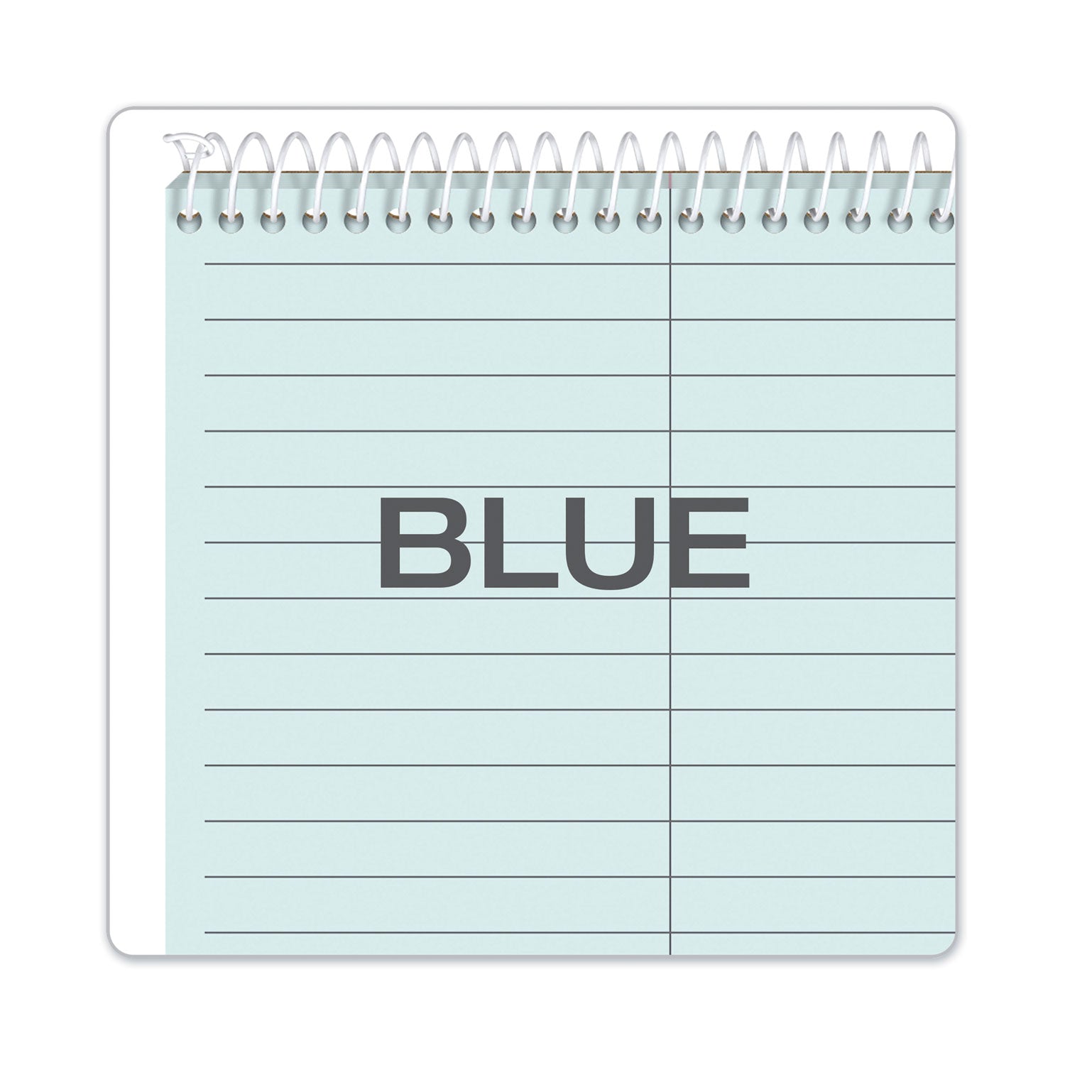 Prism Steno Pads, Gregg Rule, Blue Cover, 80 Blue 6 x 9 Sheets, 4/Pack - 