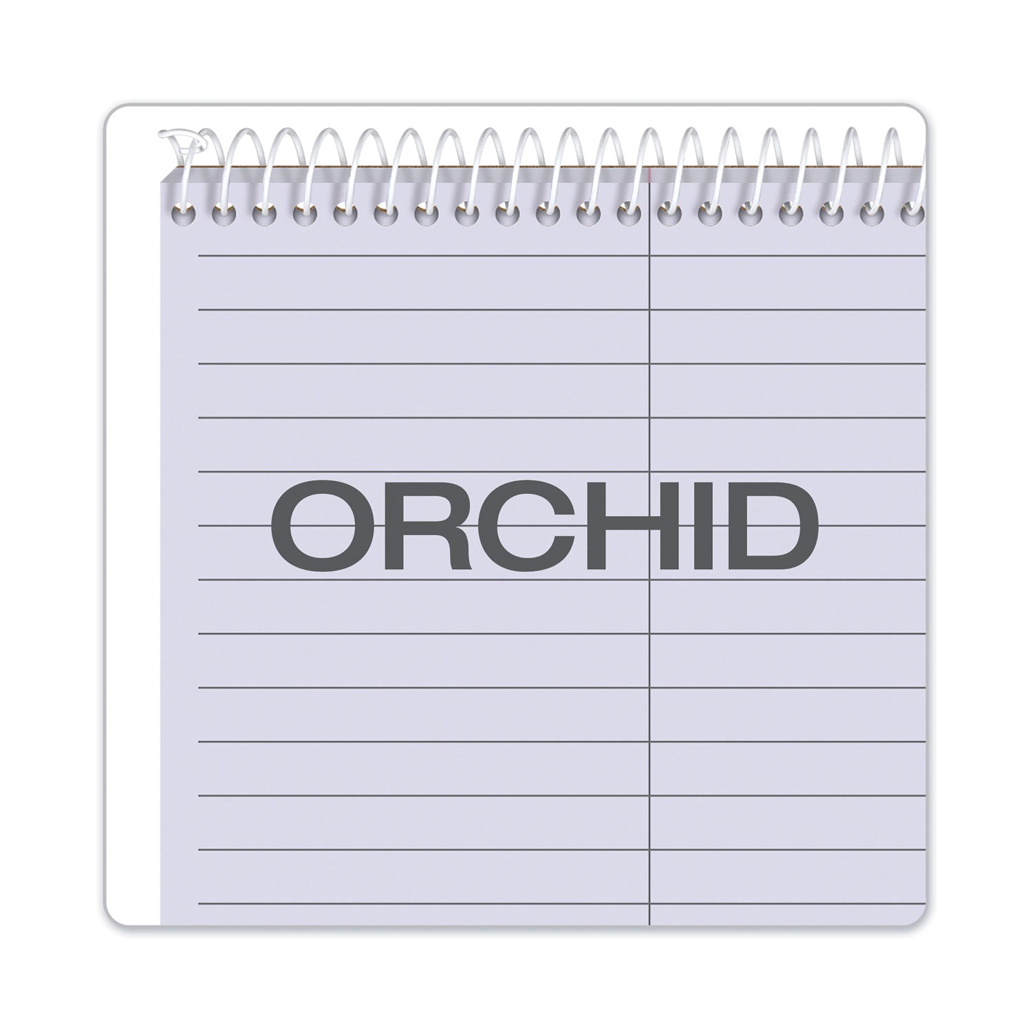 Prism Steno Pads, Gregg Rule, Orchid Cover, 80 Orchid 6 x 9 Sheets, 4/Pack - 