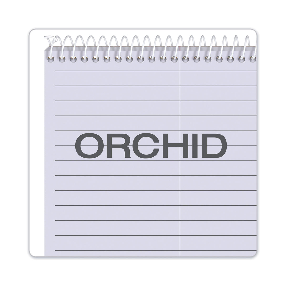 Prism Steno Pads, Gregg Rule, Orchid Cover, 80 Orchid 6 x 9 Sheets, 4/Pack