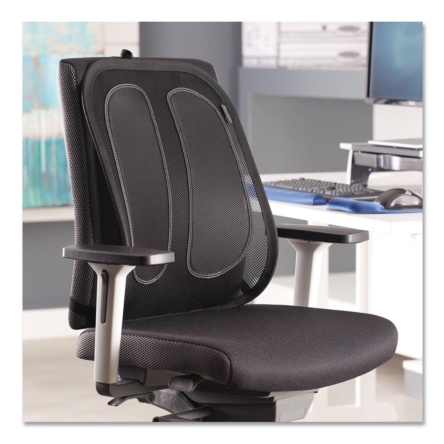 office-suites-mesh-back-support-173-x-556-x-2018-black_fel9191301 - 5