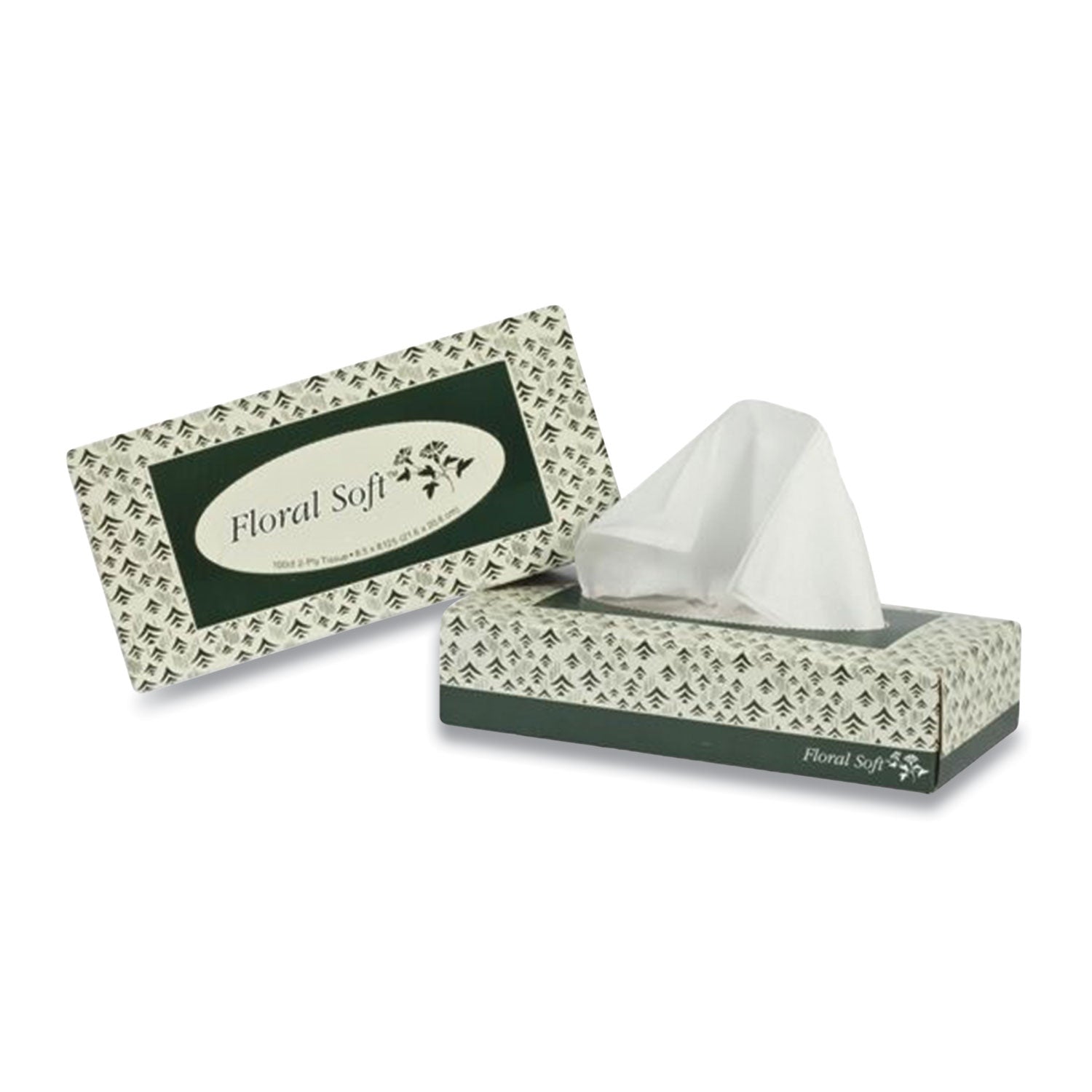 white-facial-tissue-2-ply-100-sheets-box-30-boxes-carton_apaf100 - 1