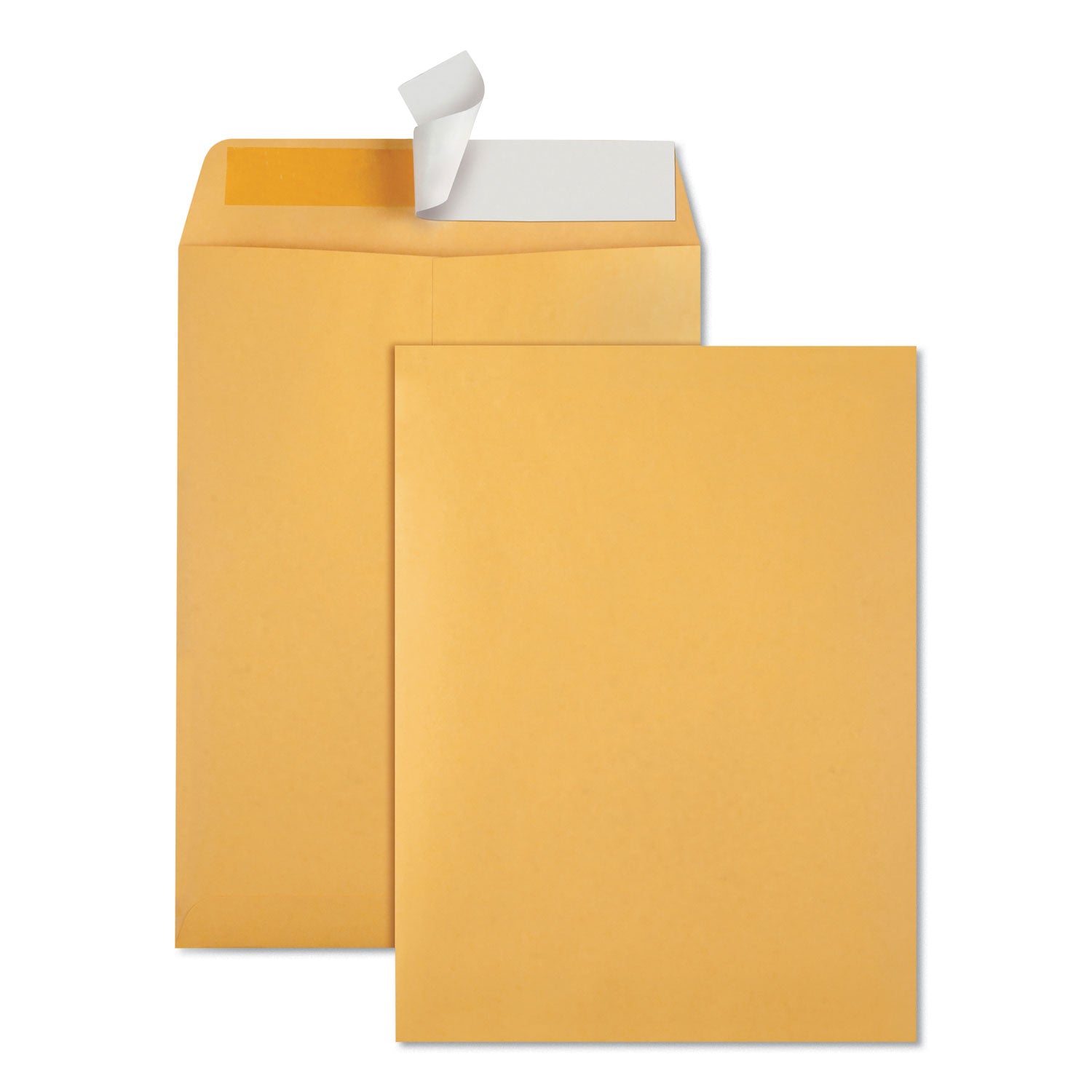 Redi-Strip Catalog Envelope, #10 1/2, Cheese Blade Flap, Redi-Strip Adhesive Closure, 9 x 12, Brown Kraft, 100/Box - 