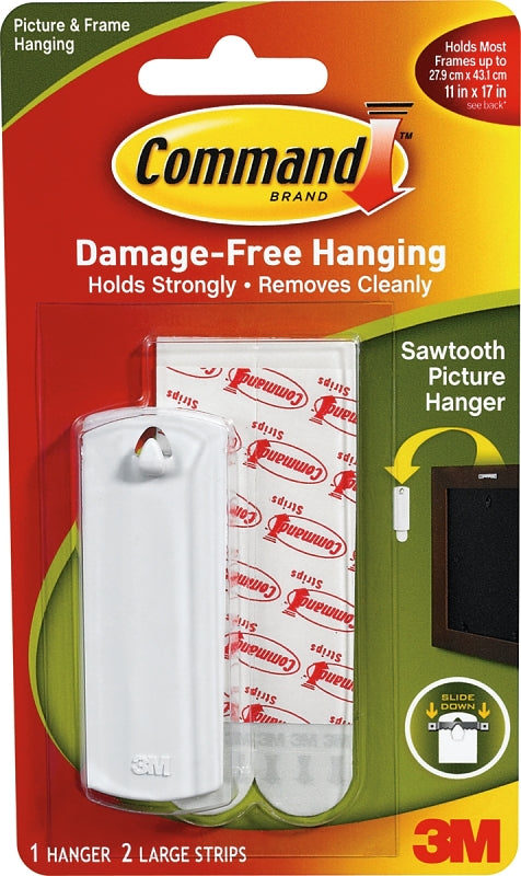 Hanger,Pctr,1Hng/2Strp