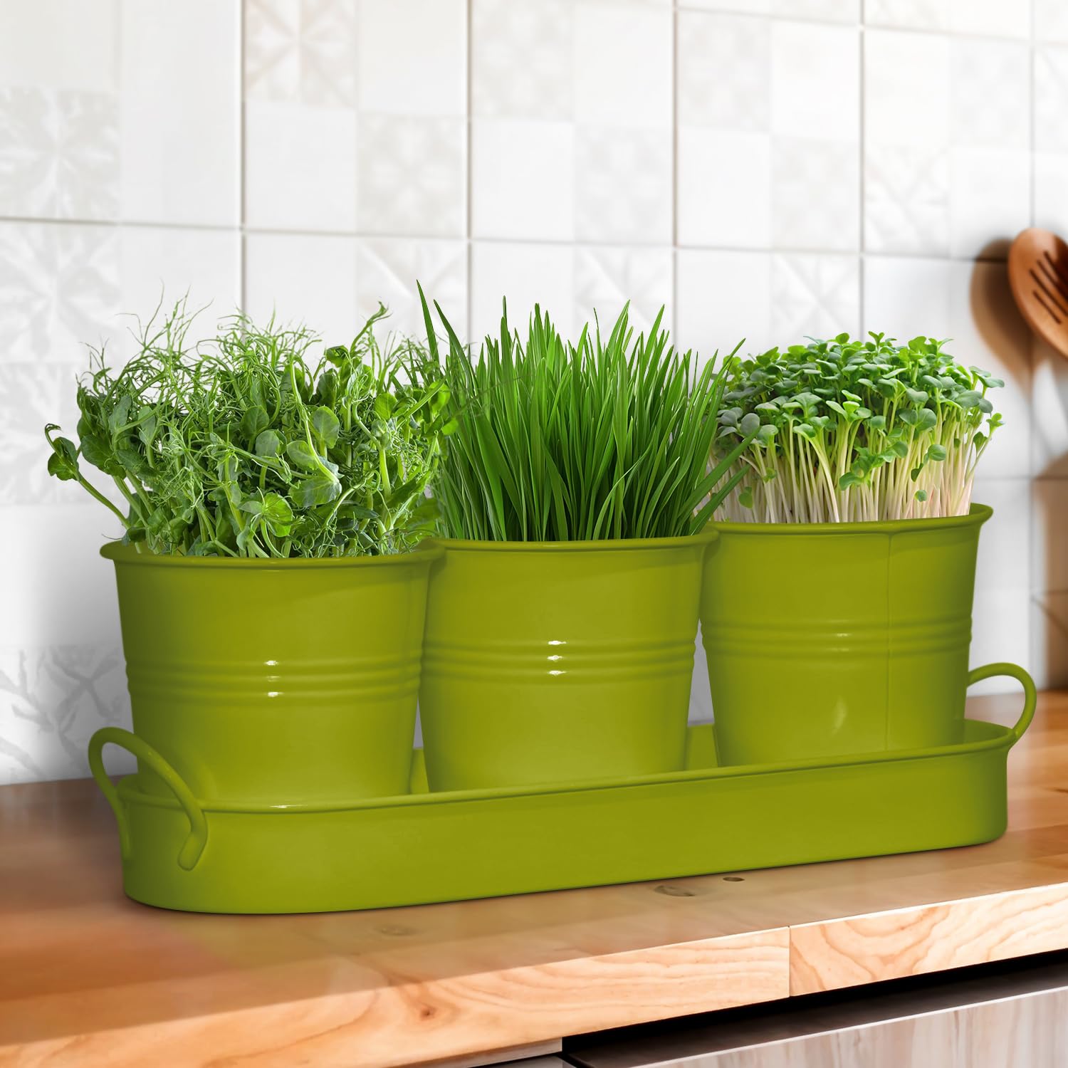 Set of 3 Green Metal Garden Planters with Tray