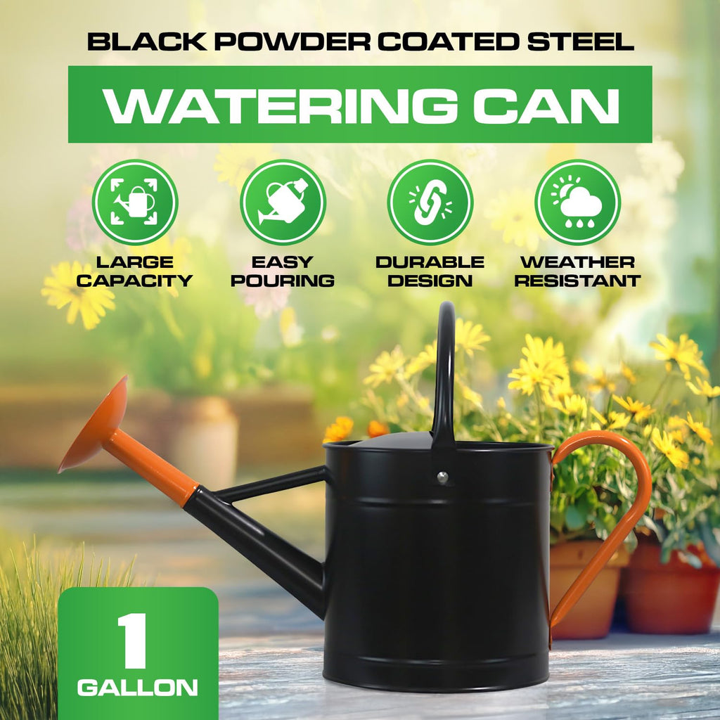 1 Gallon Shinny Black Metal Watering Can with Orange Handle and Spout
