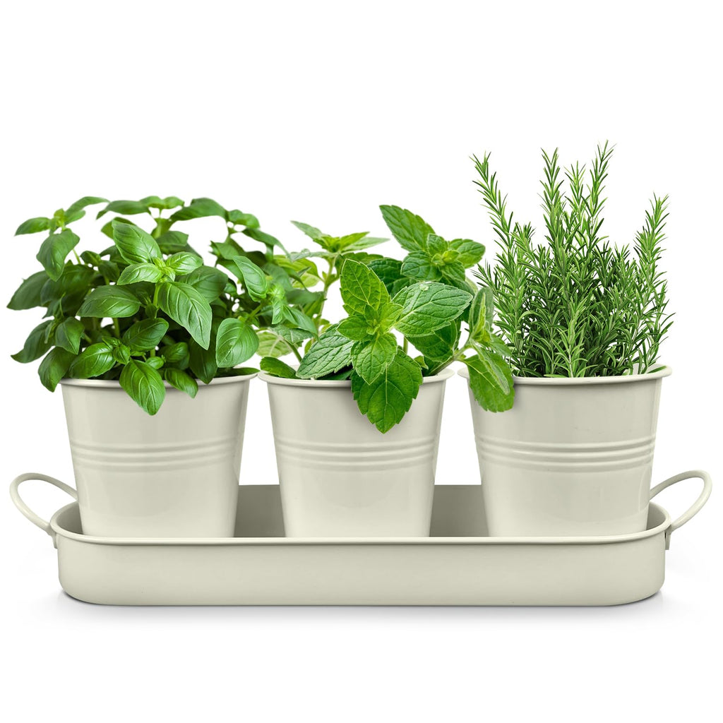 Set of 3 Off-White Metal Garden Planters with Tray