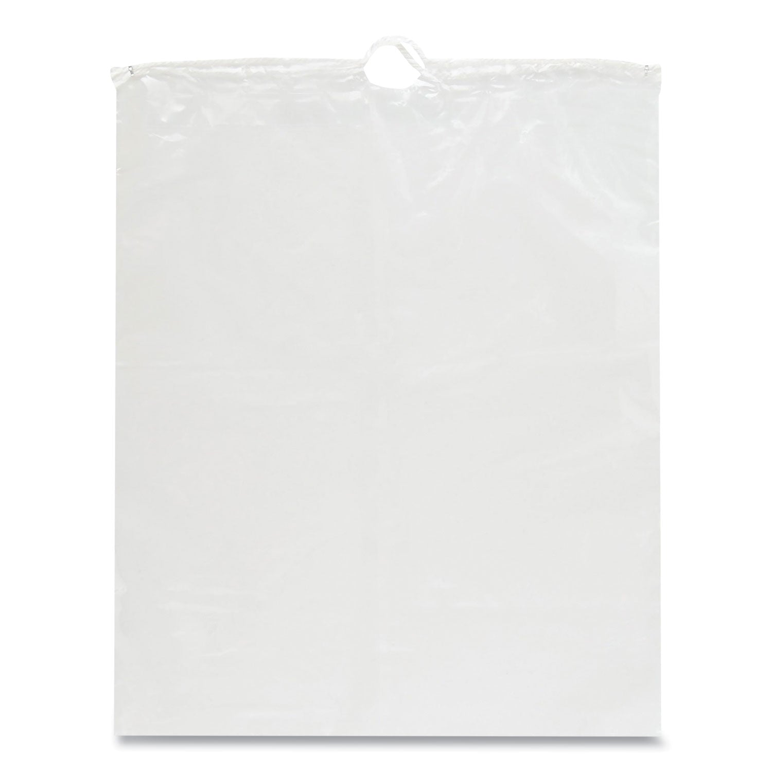 deposit-bags-polyethylene-12-x-15-clear-1000-carton_fgigal12x15ds - 1
