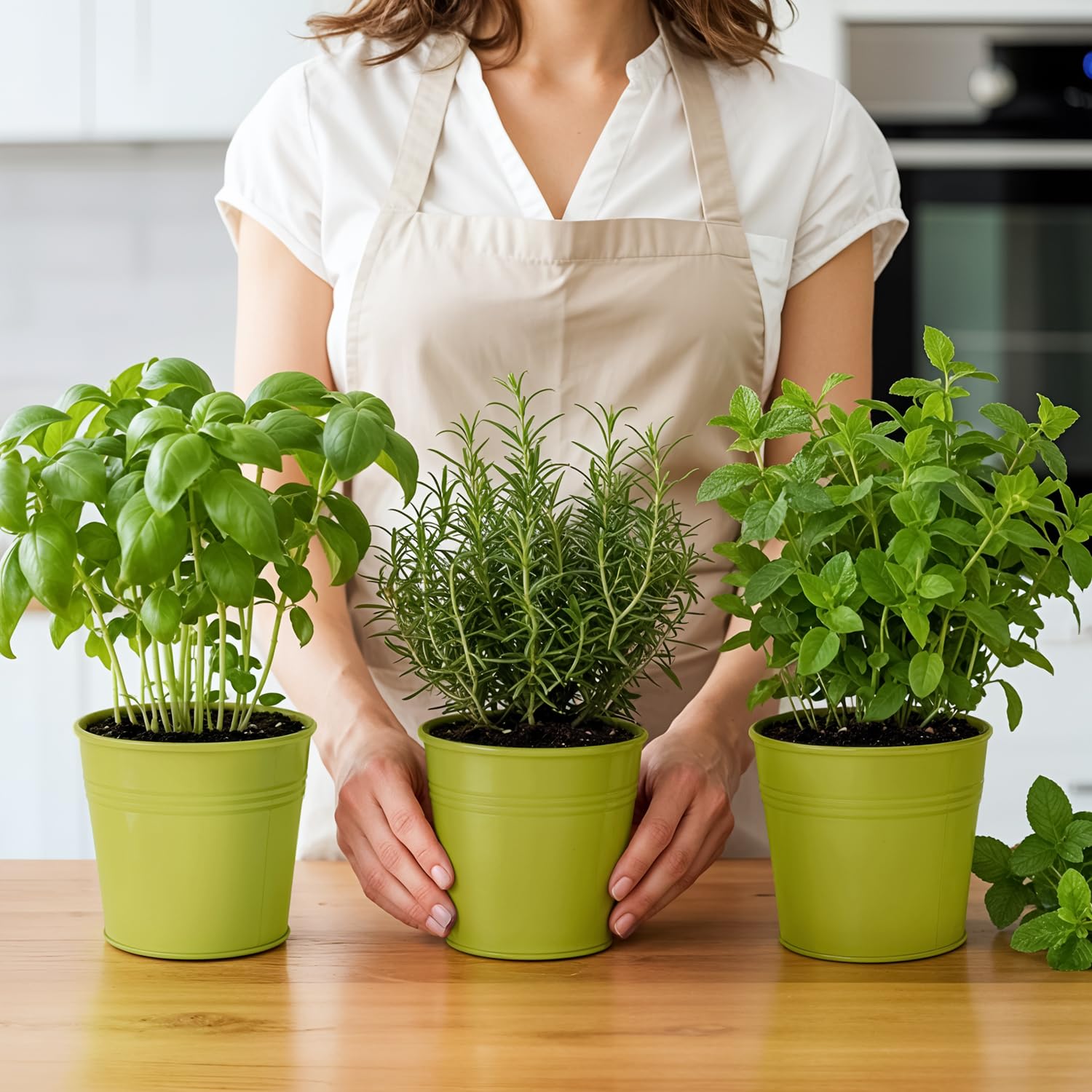 Set of 3 Green Metal Garden Planters with Tray