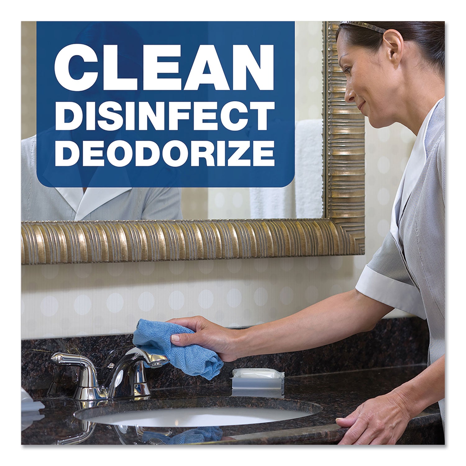 Disinfecting-Sanitizing Bathroom Cleaner, One Gallon Bottle - 