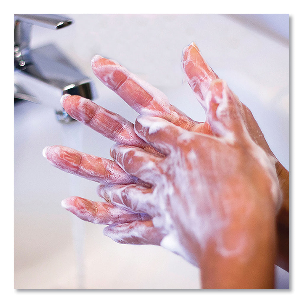 Antibacterial Liquid Hand Soap, Light Scent, 1 gal Bottle, 2/Carton