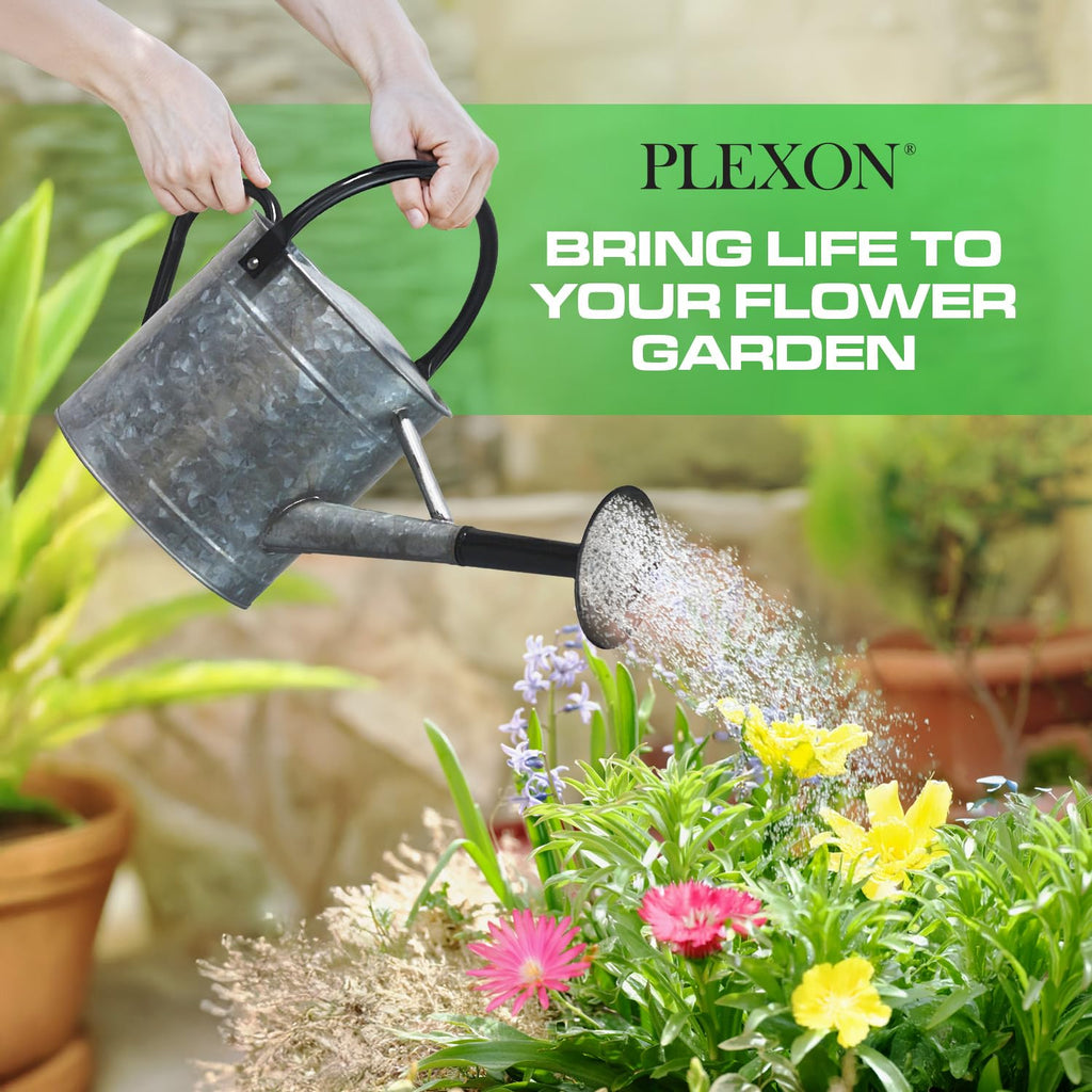 1 Gallon Acid Pickling Galvanized Metal Watering Can with Black Handle and Spout