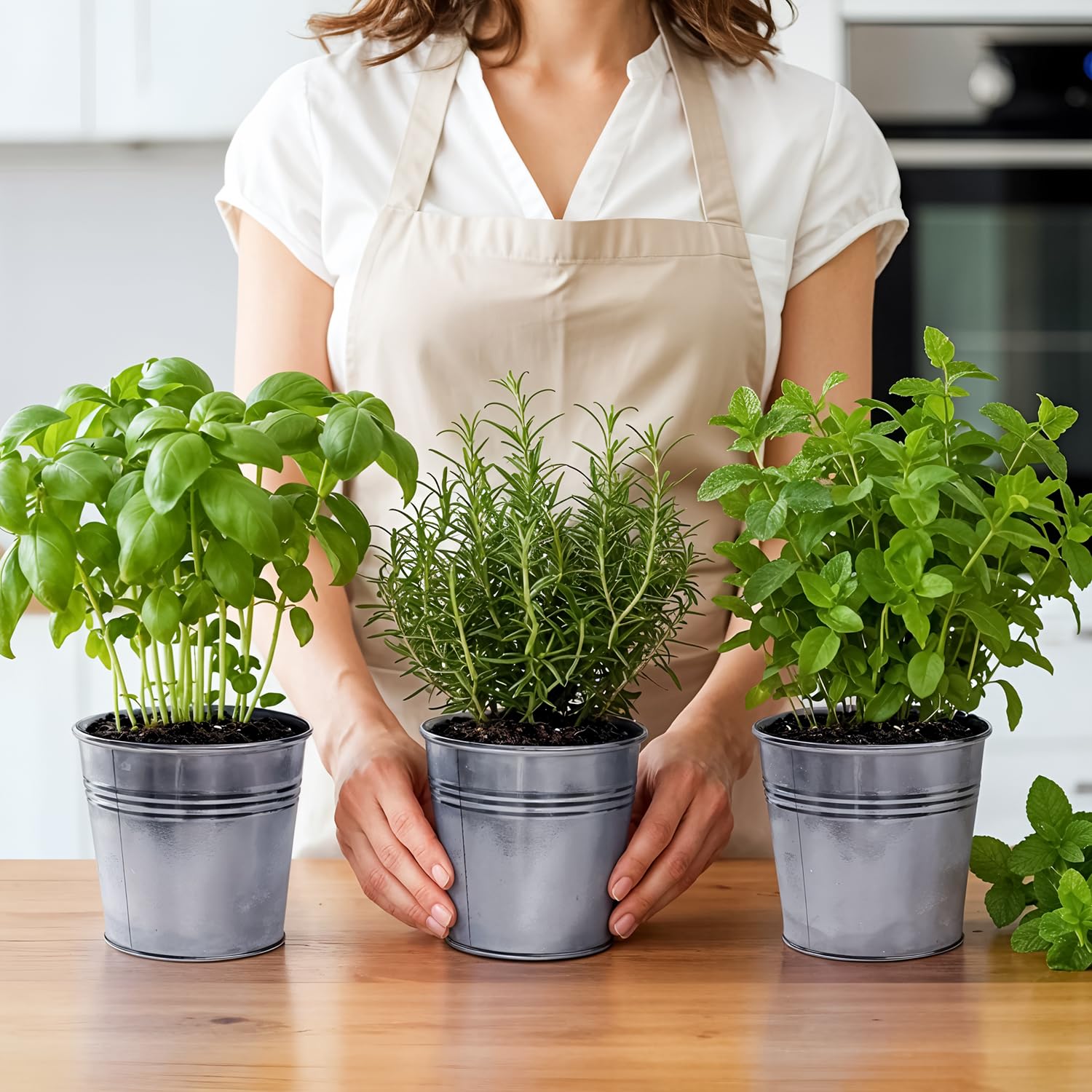 Set of 3 Beige Metal Garden Planters with Tray