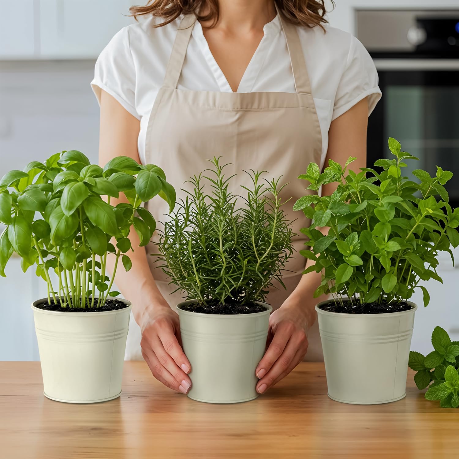 Set of 3 Beige Metal Garden Planters with Tray