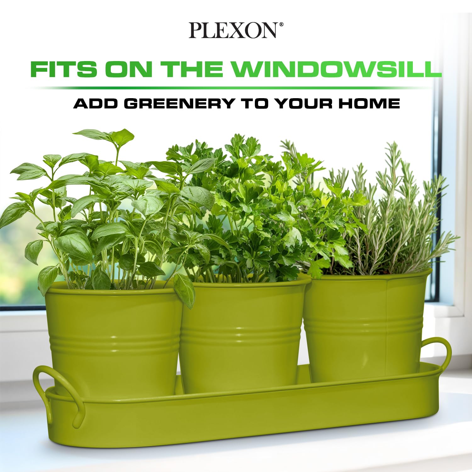 Set of 3 Green Metal Garden Planters with Tray