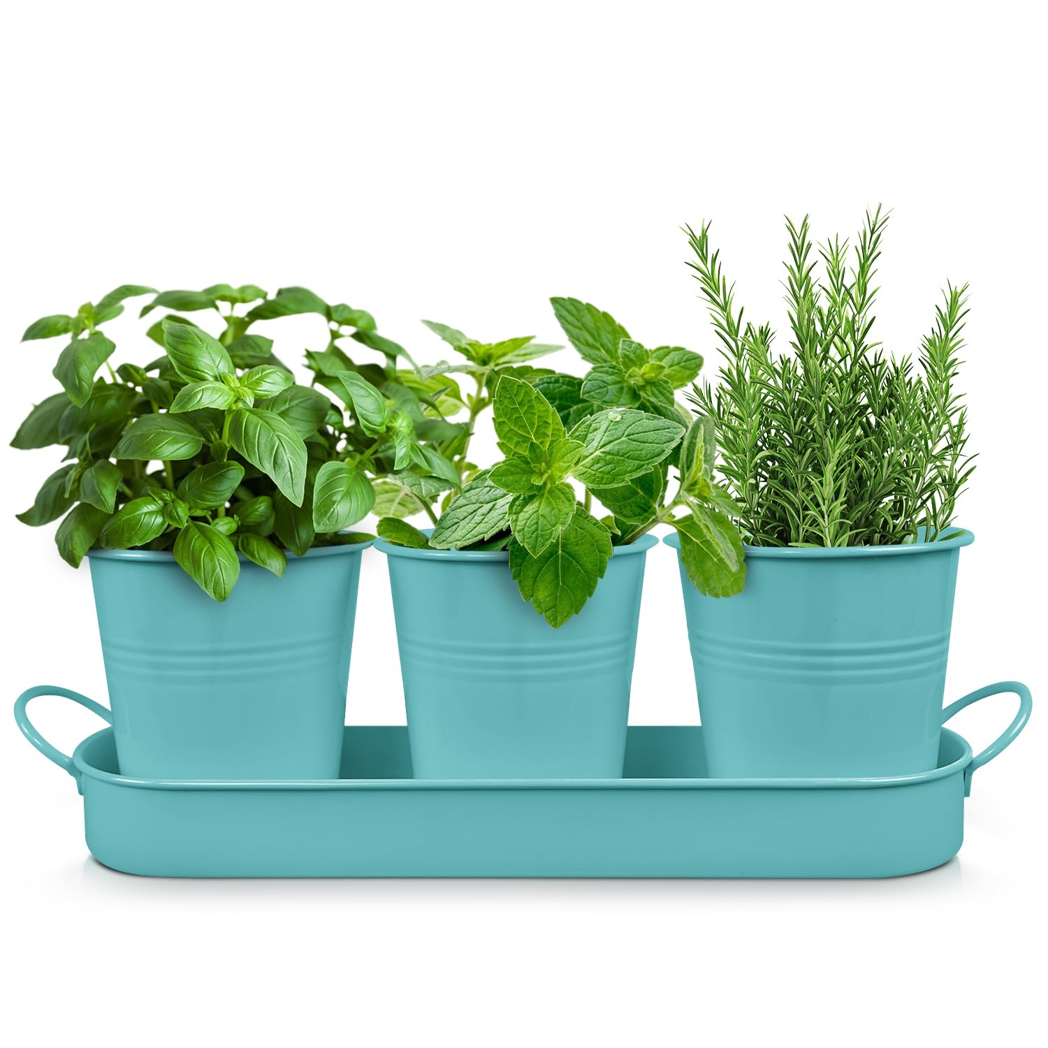 Set of 3 Aqua Mist Blue Metal Garden Planters with Tray