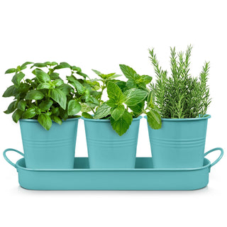 Set of 3 Aqua Mist Blue Metal Garden Planters with Tray