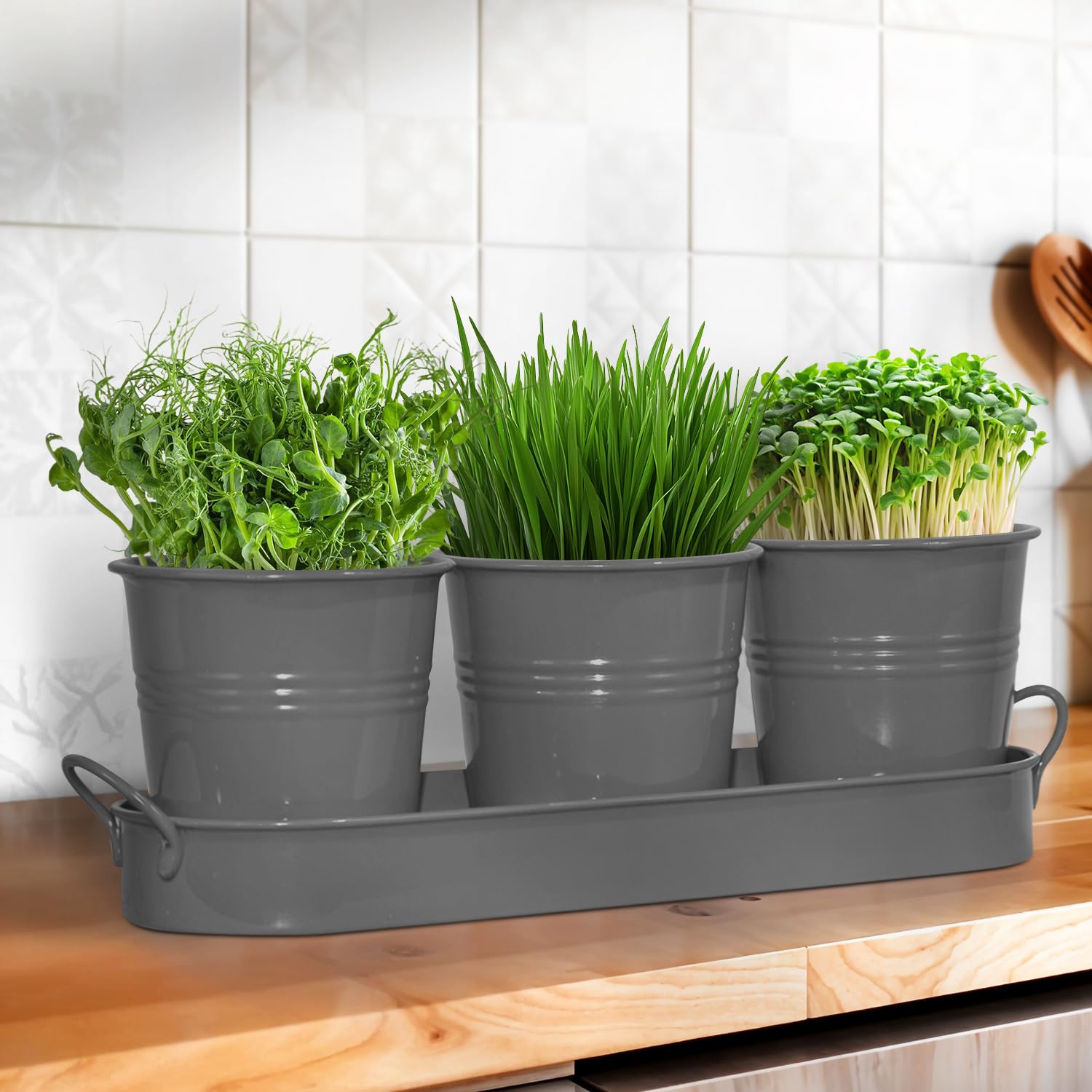 Set of 3 Gray Metal Garden Planters with Tray